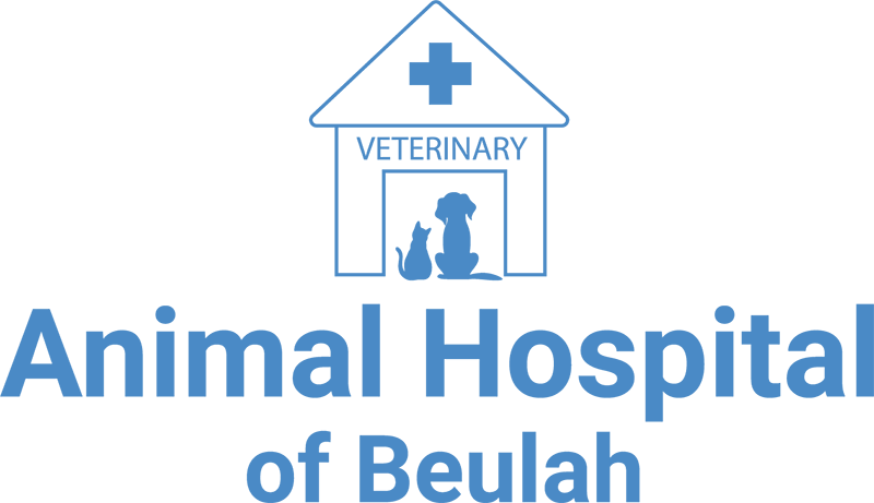 Best Veterinary Hospital In Pensacola, FL 32526