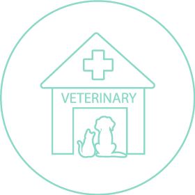 Vet Near Me Pensacola, FL 32526 | Animal Hospital Of Beulah