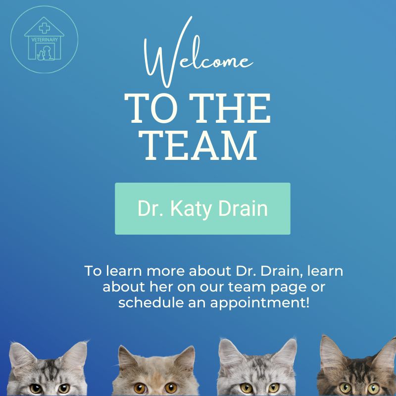Welcome to the team Dr. Katy Drain